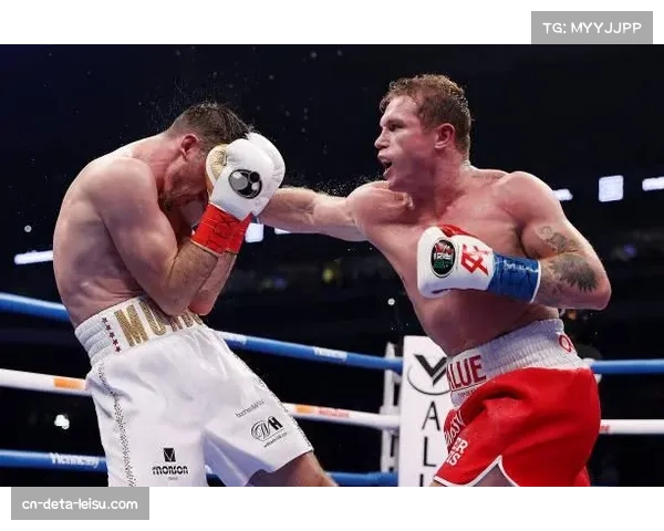 拳击统一战前瞻：阿尔瓦雷斯与贝纳维德兹的WBC超中量级腰带之争